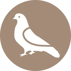 Dépigeonnage Brignoles