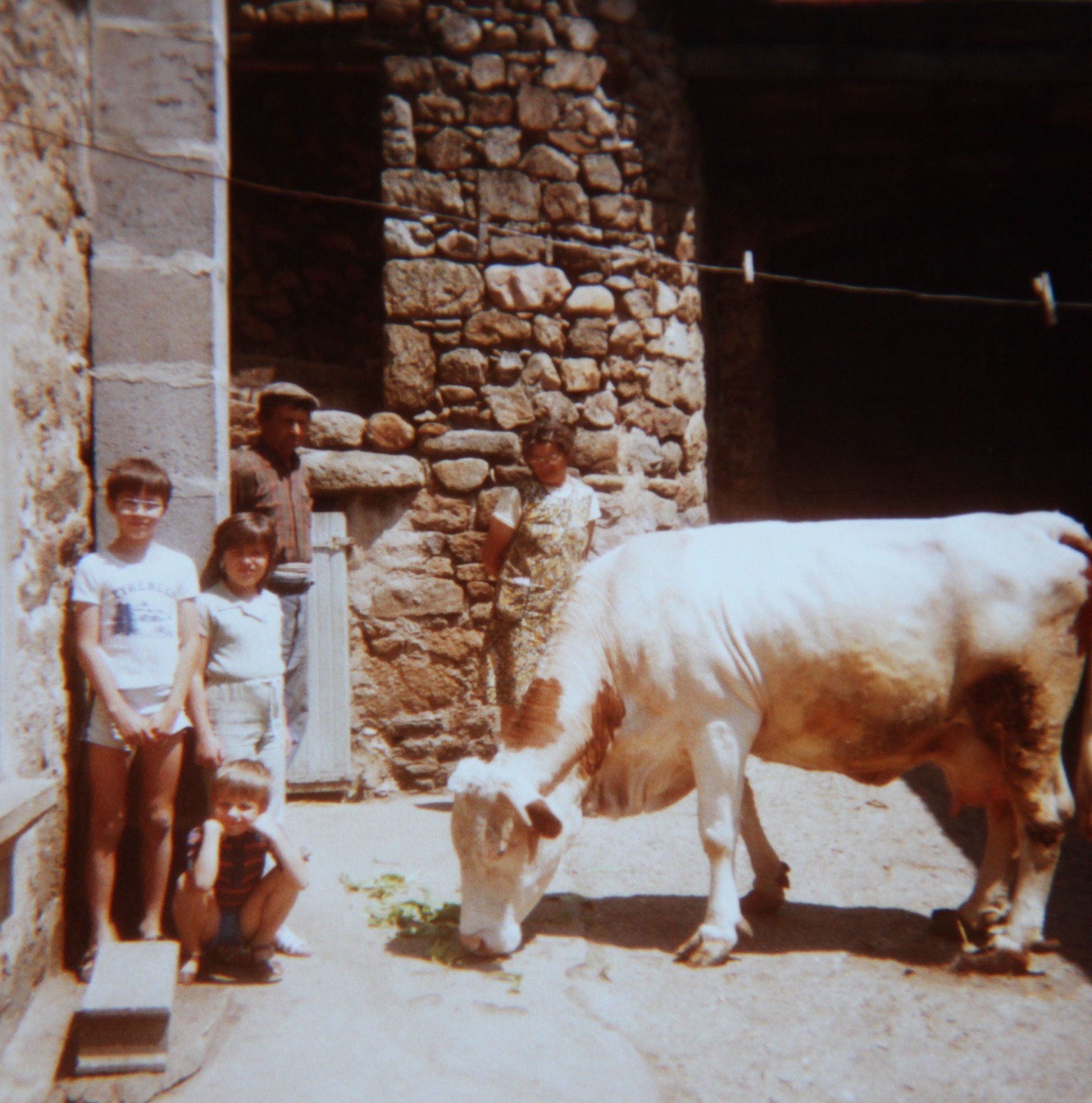 Les parents de Thierry et leux enfants avec la dernière vache de leur exploitation agricole