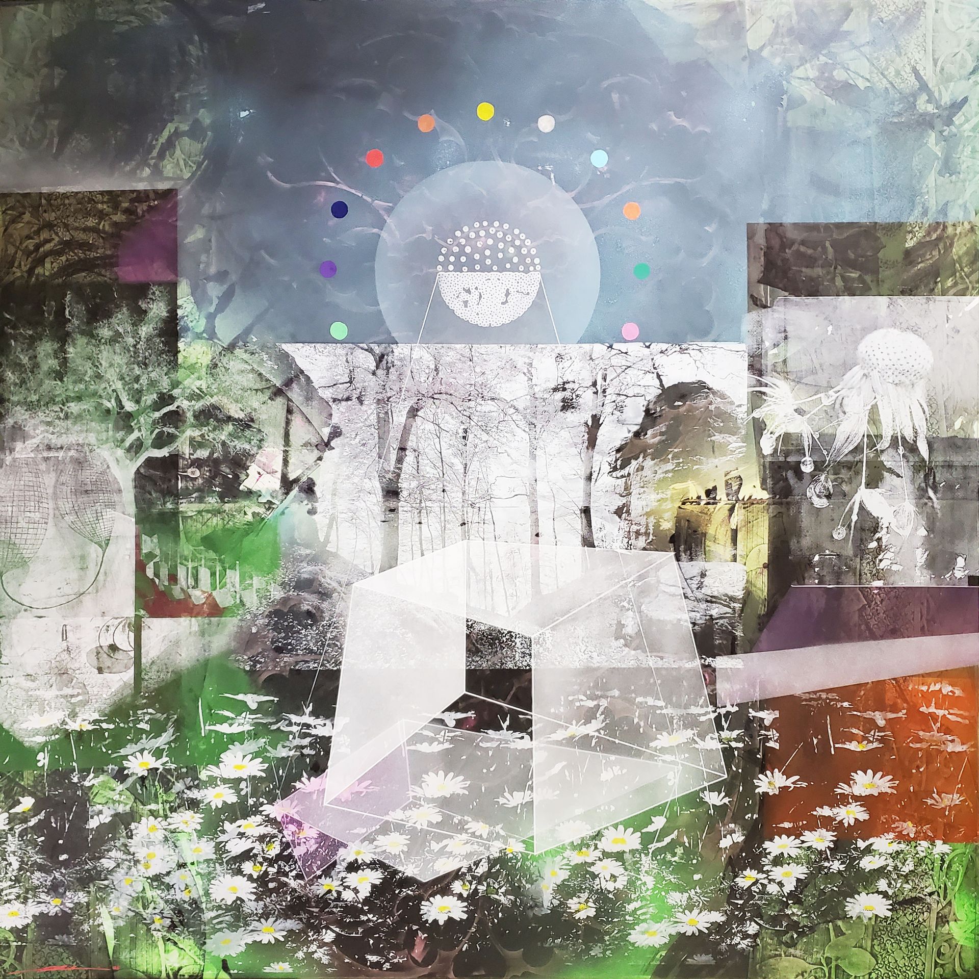 Artwork of the Week 4