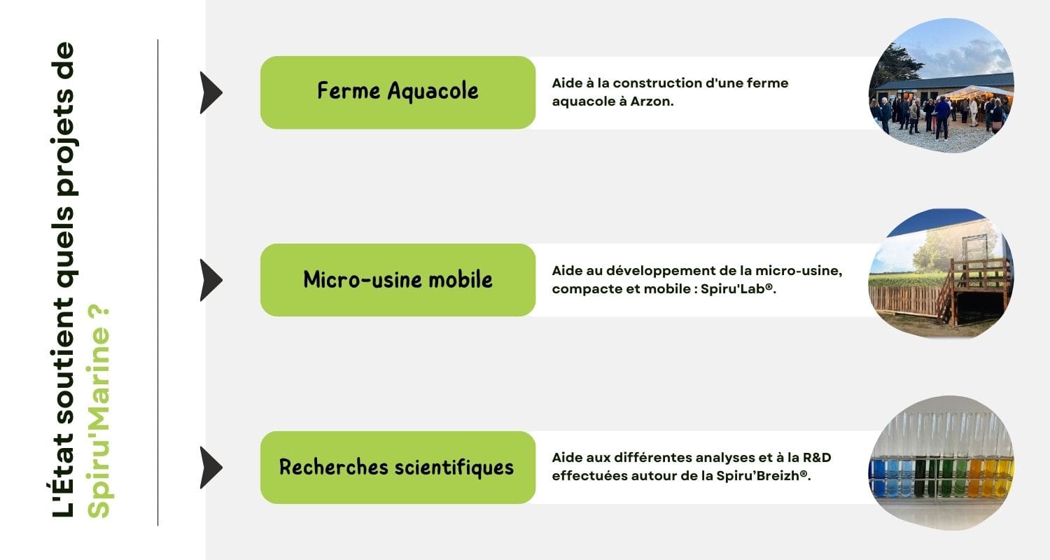 Infographie - l'état soutient quels projets de spirumarine ? - page Or Vert Marin Infographie - l'état soutient quels projets de spirumarine ? - page Or Vert Marin