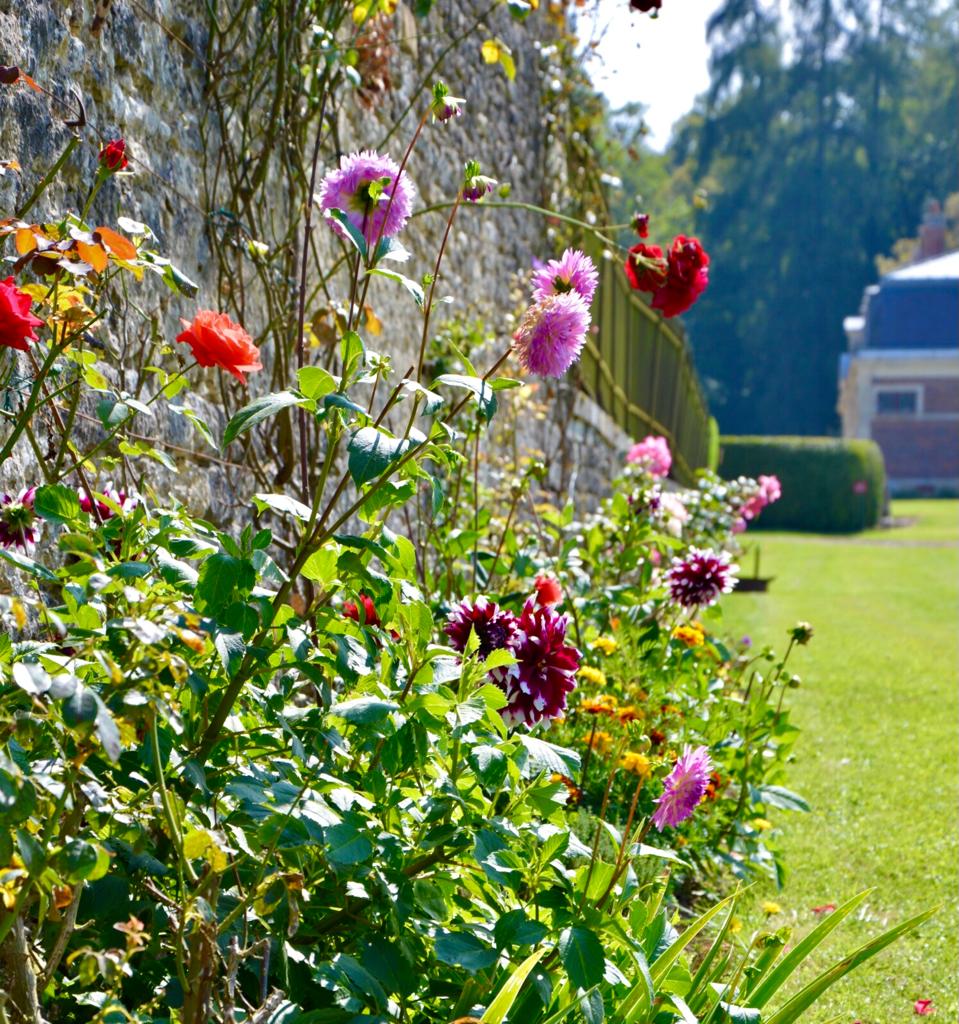 Fleurs parc Château de Cirey, Haute-Marne