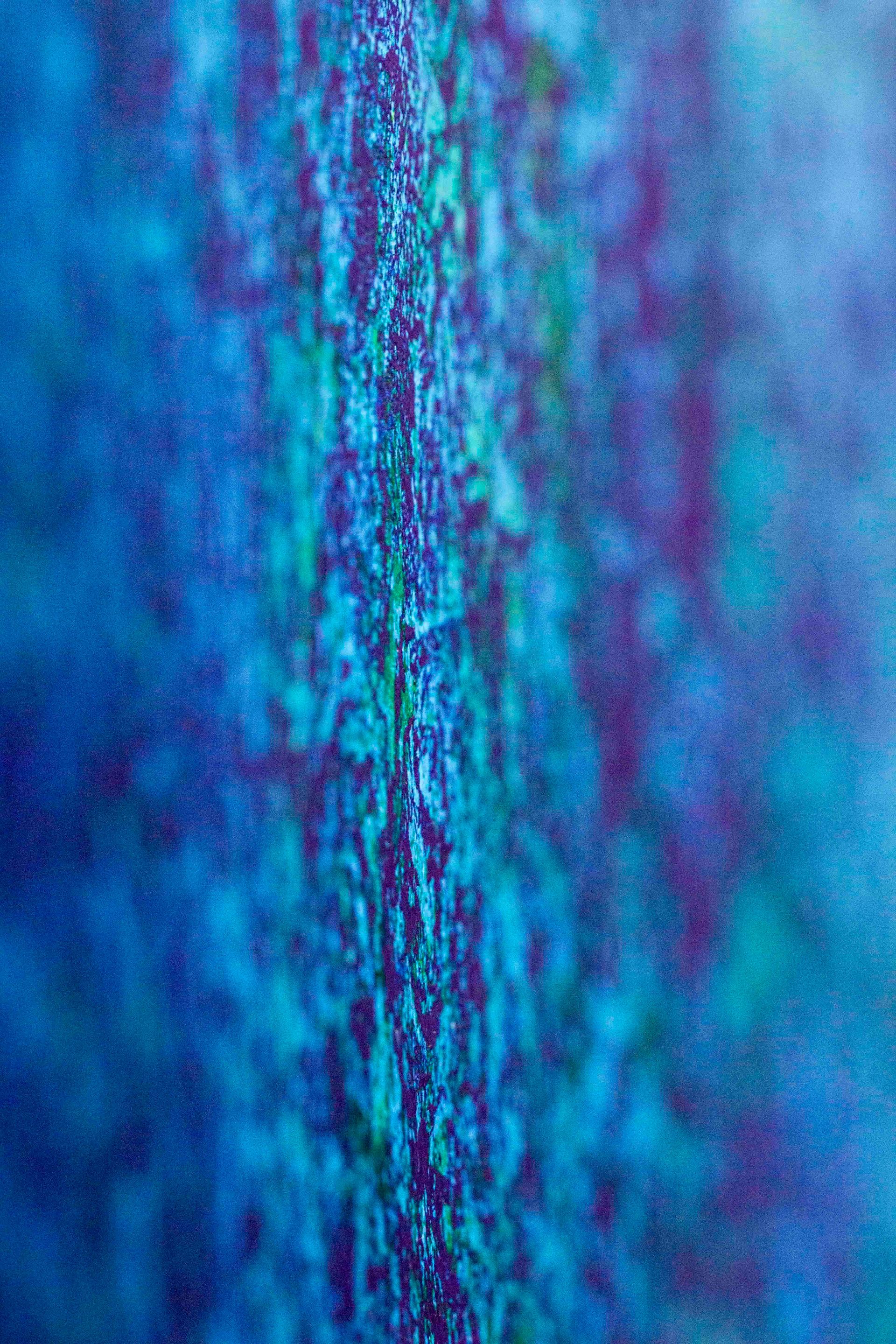 marine ecosystems, green and blue, macro photography