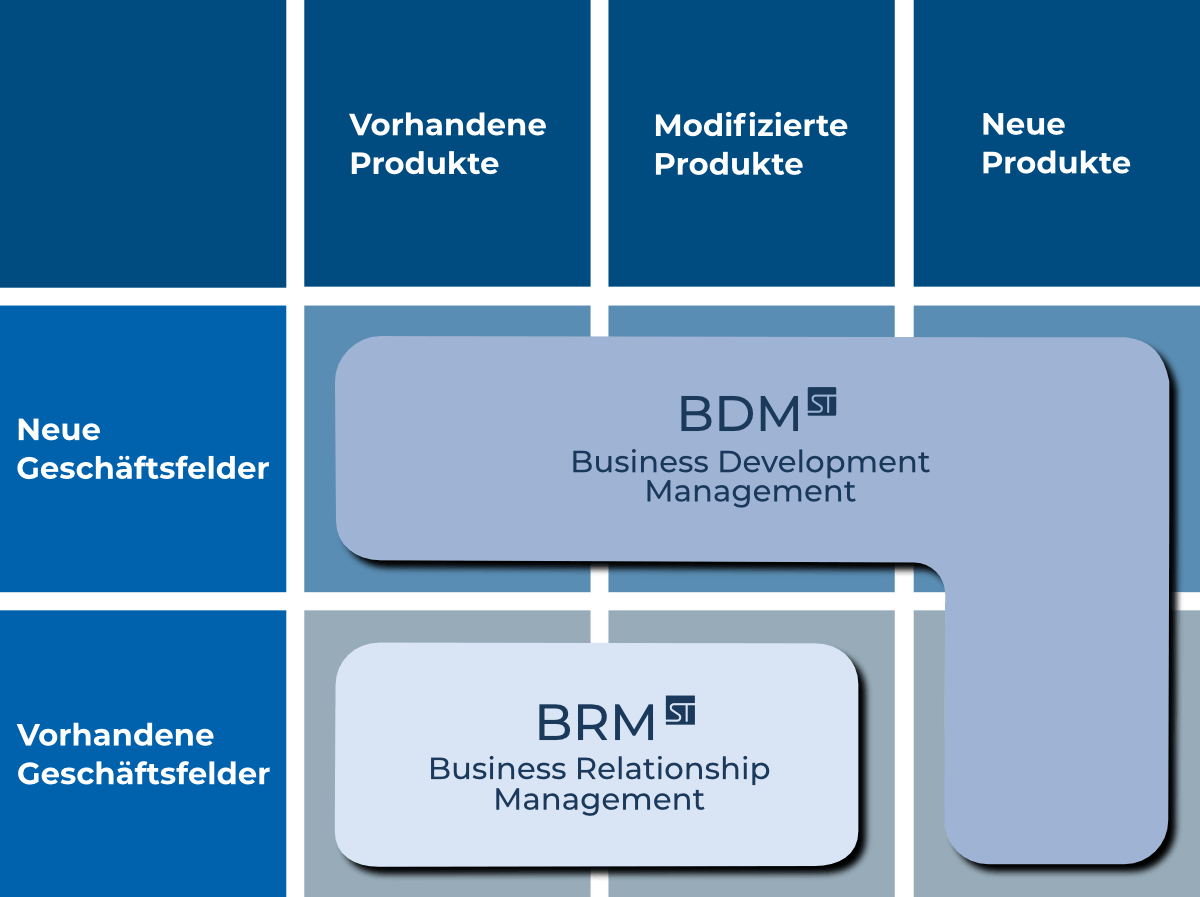 Business-Relationship | Business-Development Business-Relationship-Management, Geschäftsfeld-Produkt-Matrix,