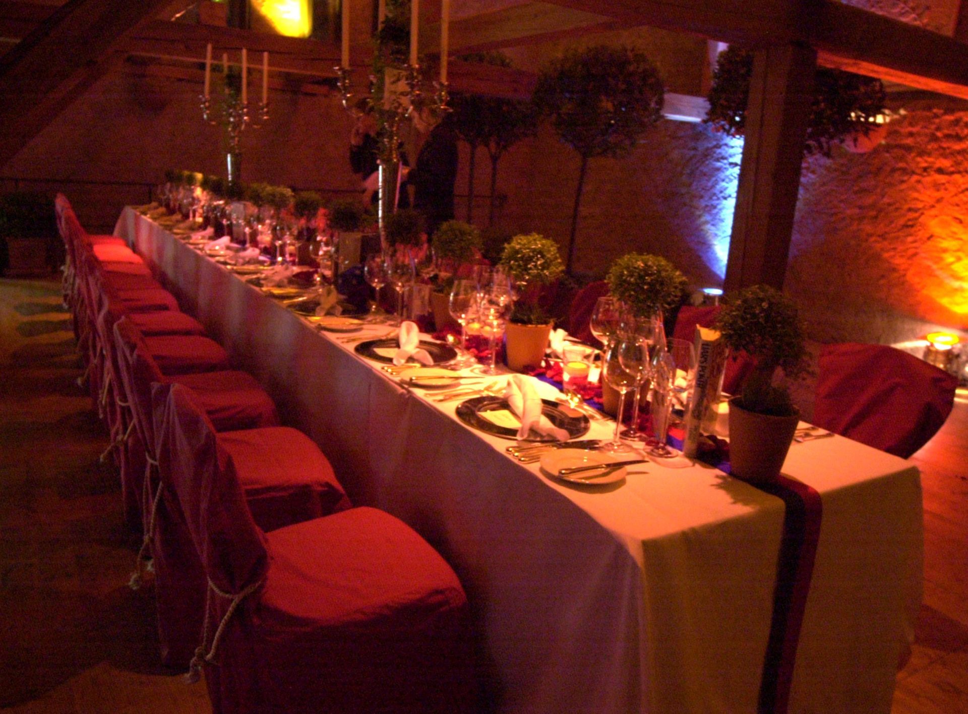 OMA-ROSI-PRIVATE-FEIERN-IN-LOCATIONS