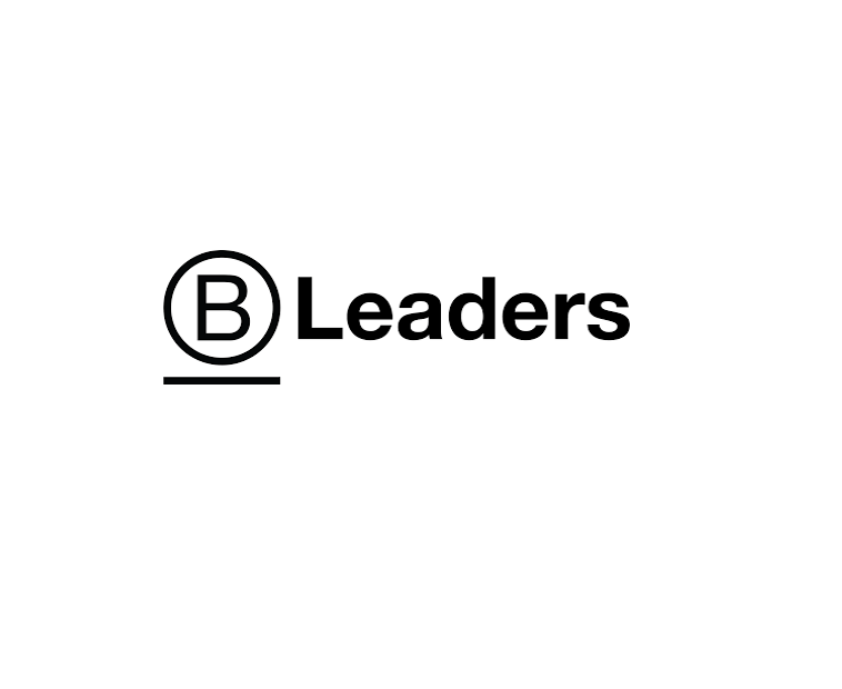 consultant bcorp marseille