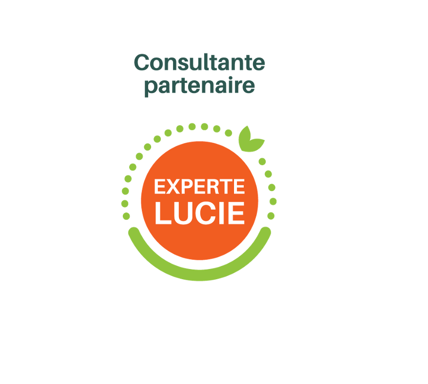 consultant Lucie 26000 RSE cabinet