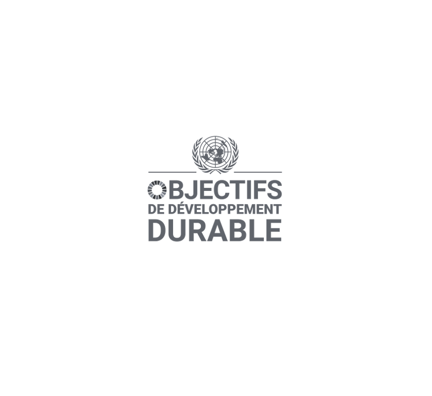 Cabinet RSE conseil ODD