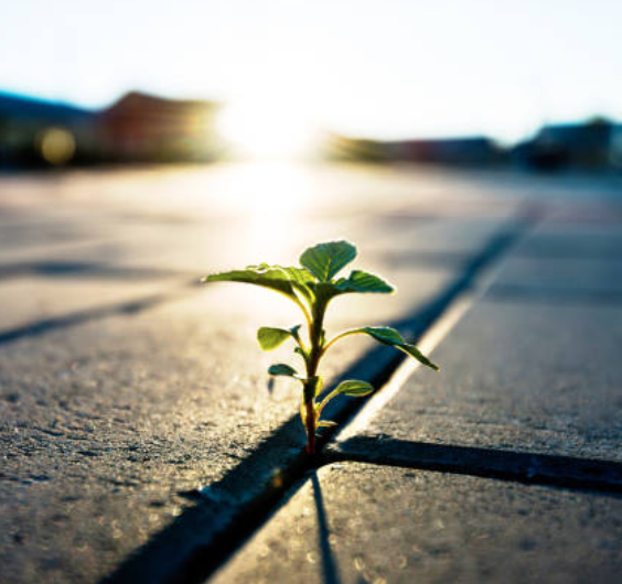 20 raisons de faire de la RSE
