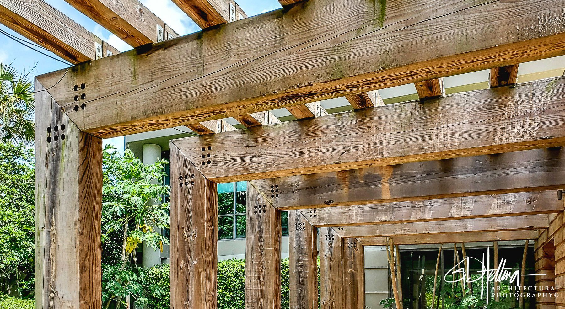 #StructuralPhotographer #woodStructures