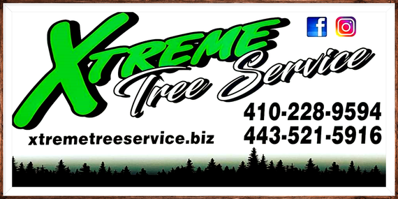 Xtreme Tree Service
