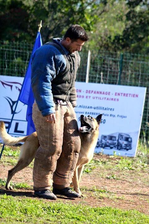 Les champions du CCR