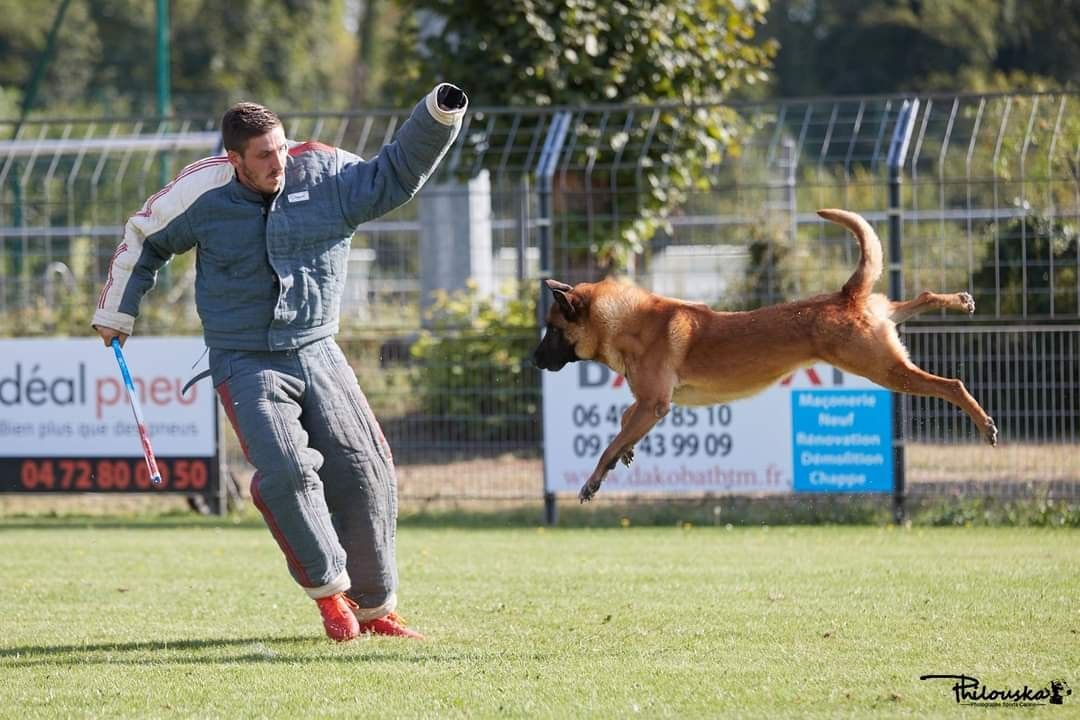 Sports canins au CCR
