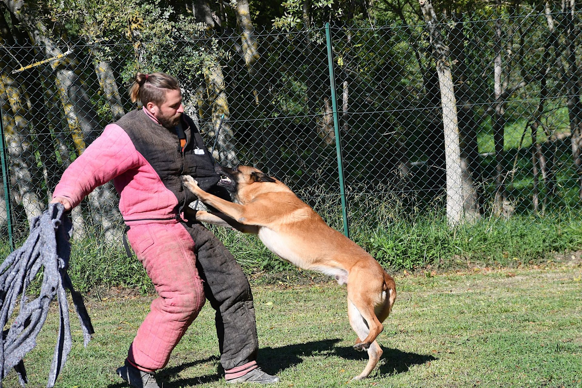 Sports canins au CCR