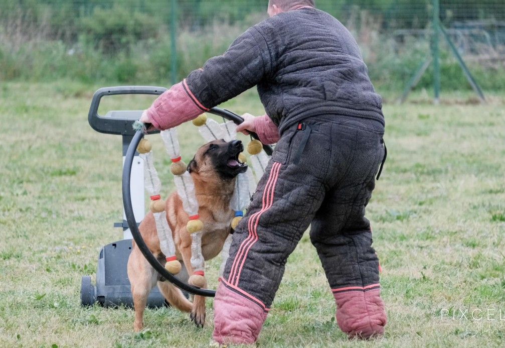 Les champions du CCR