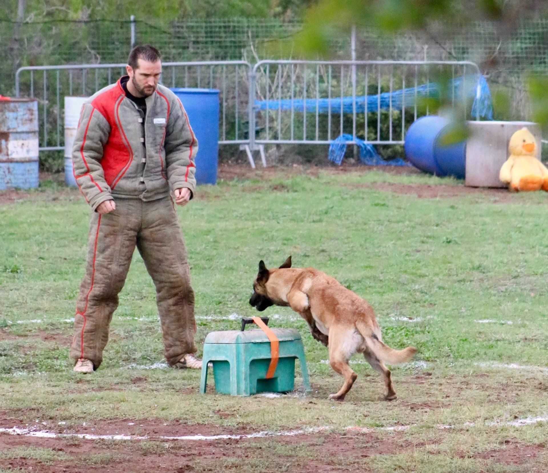 Sports canins au CCR