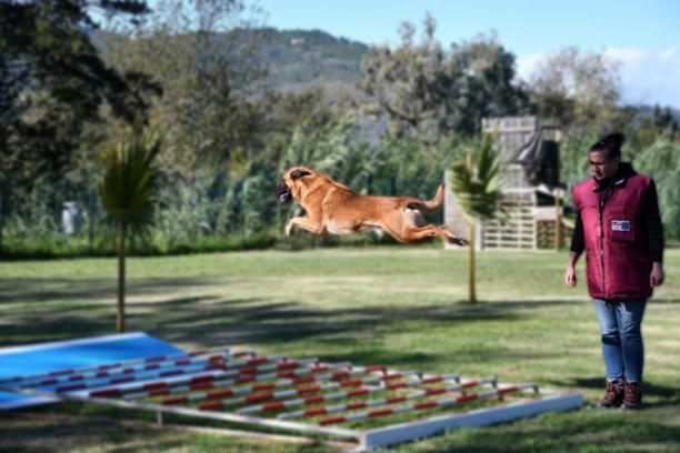 Sports canins au CCR