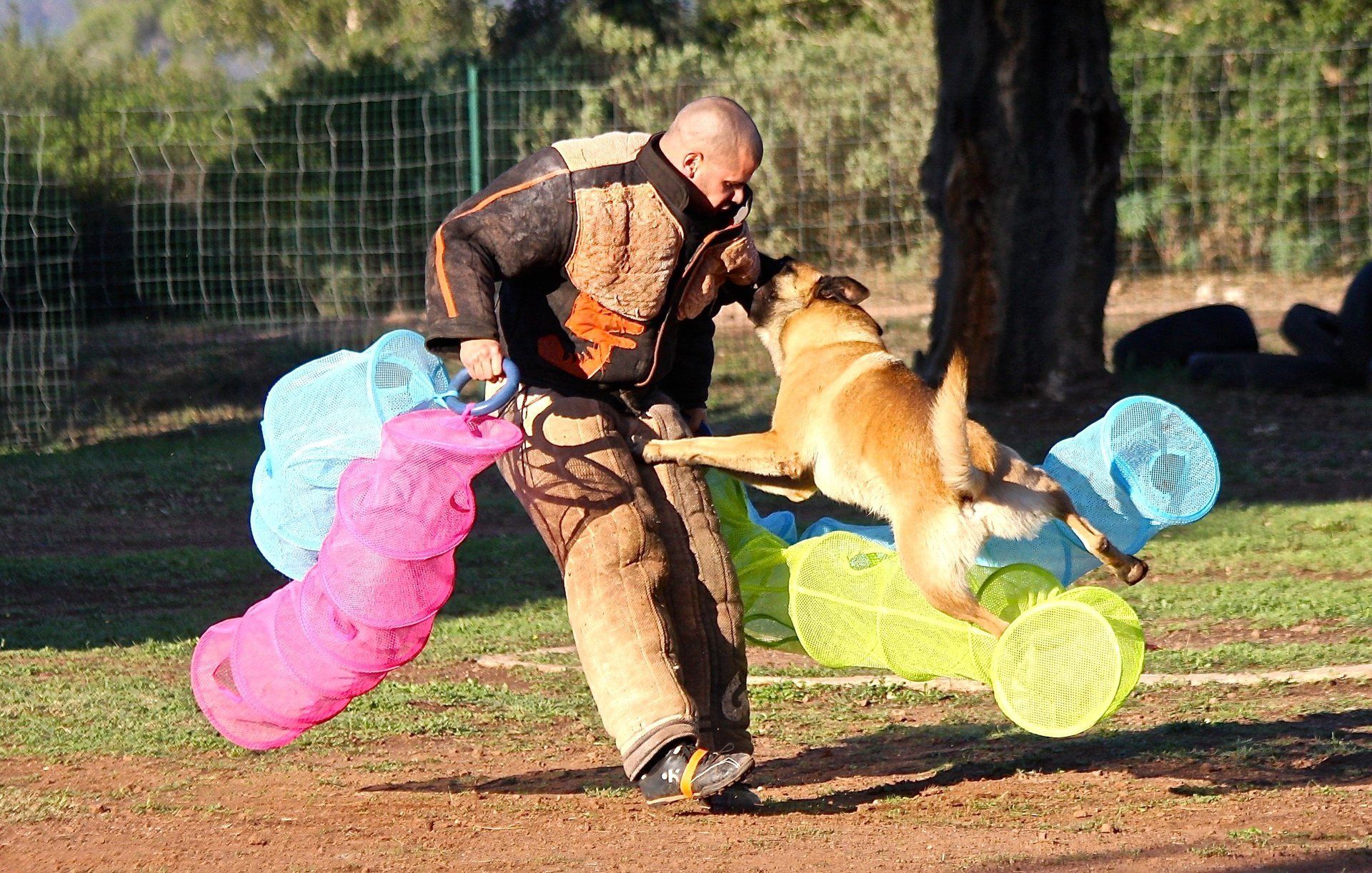 Sports canins au CCR