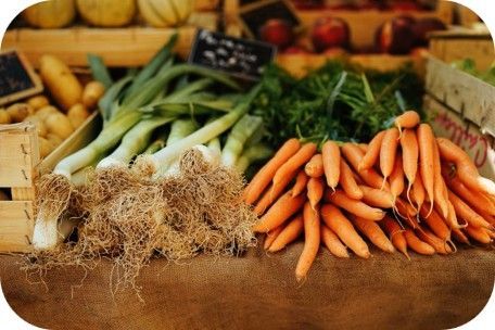 Ordnerrücken mit unterschiedlichen Beschriftungen Ordnerrücken mit unterschiedlichen Beschriftungen