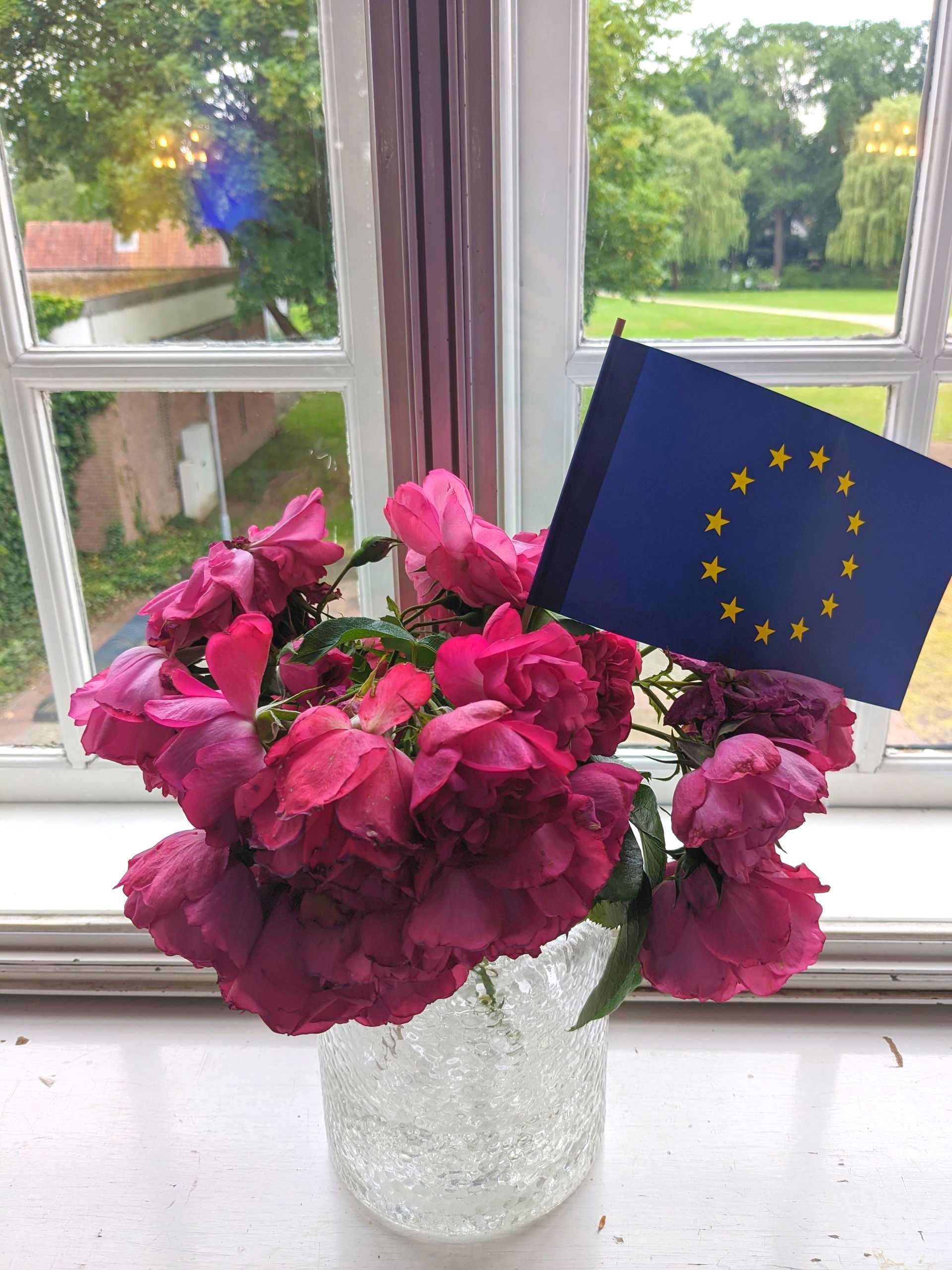 Vase mit Blumen auf Fensterbank mit einer kleinen Europa-Flagge Vase mit Blumen auf Fensterbank mit einer kleinen Europa-Flagge