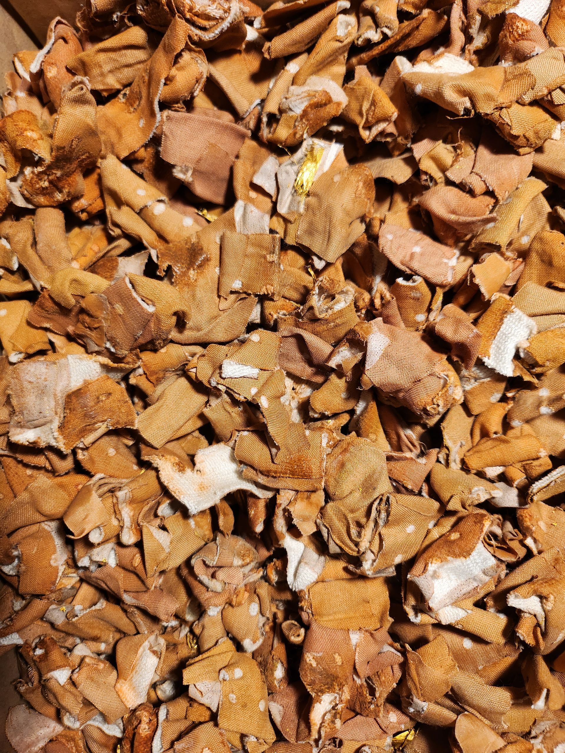 Gold und Schmerz - Goldene Empore 1997 GOLD - HUMANgold - Finger Pflaster 1997