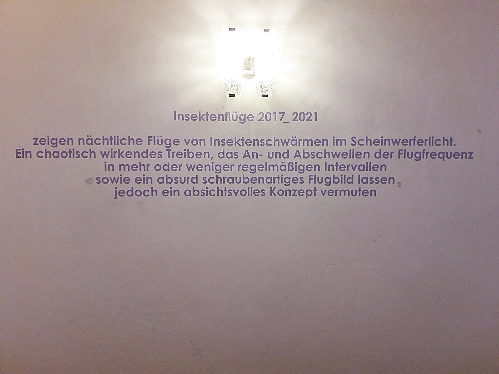 Insektenflüge - Zitat von Walter Ebenhofer Insektenflüge - Zitat von Walter Ebenhofer