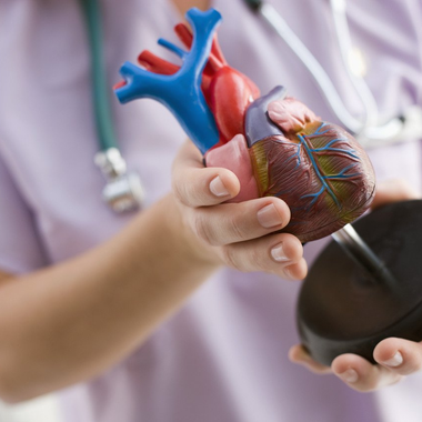 Internist, Kardiologe, Herz