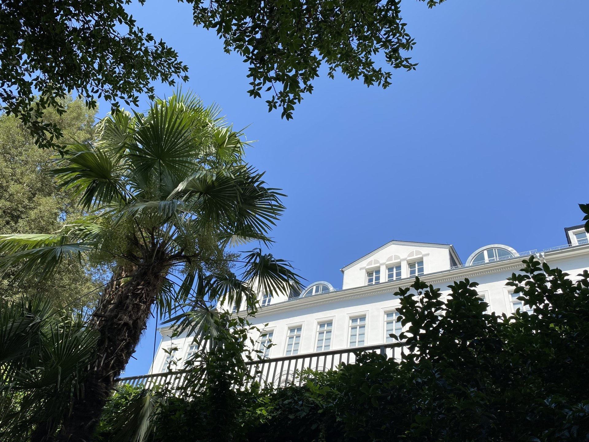 Nizzaufer Frankfurt Nizzaufer Frankfurt