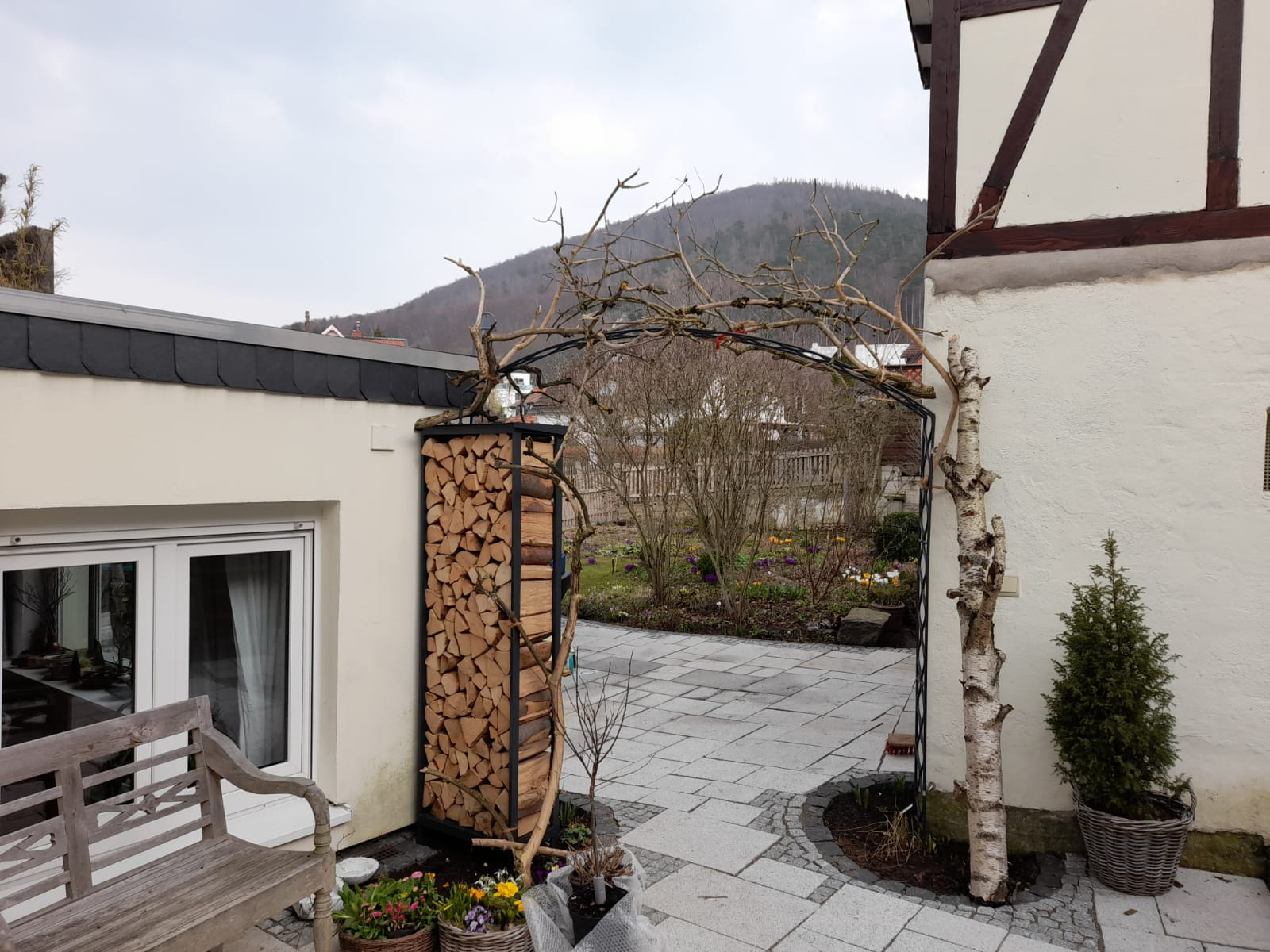 Rosenbogen mit Holzregal