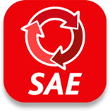 Curso Aspel SAE - Innovaci Curso Aspel SAE - Innovaci