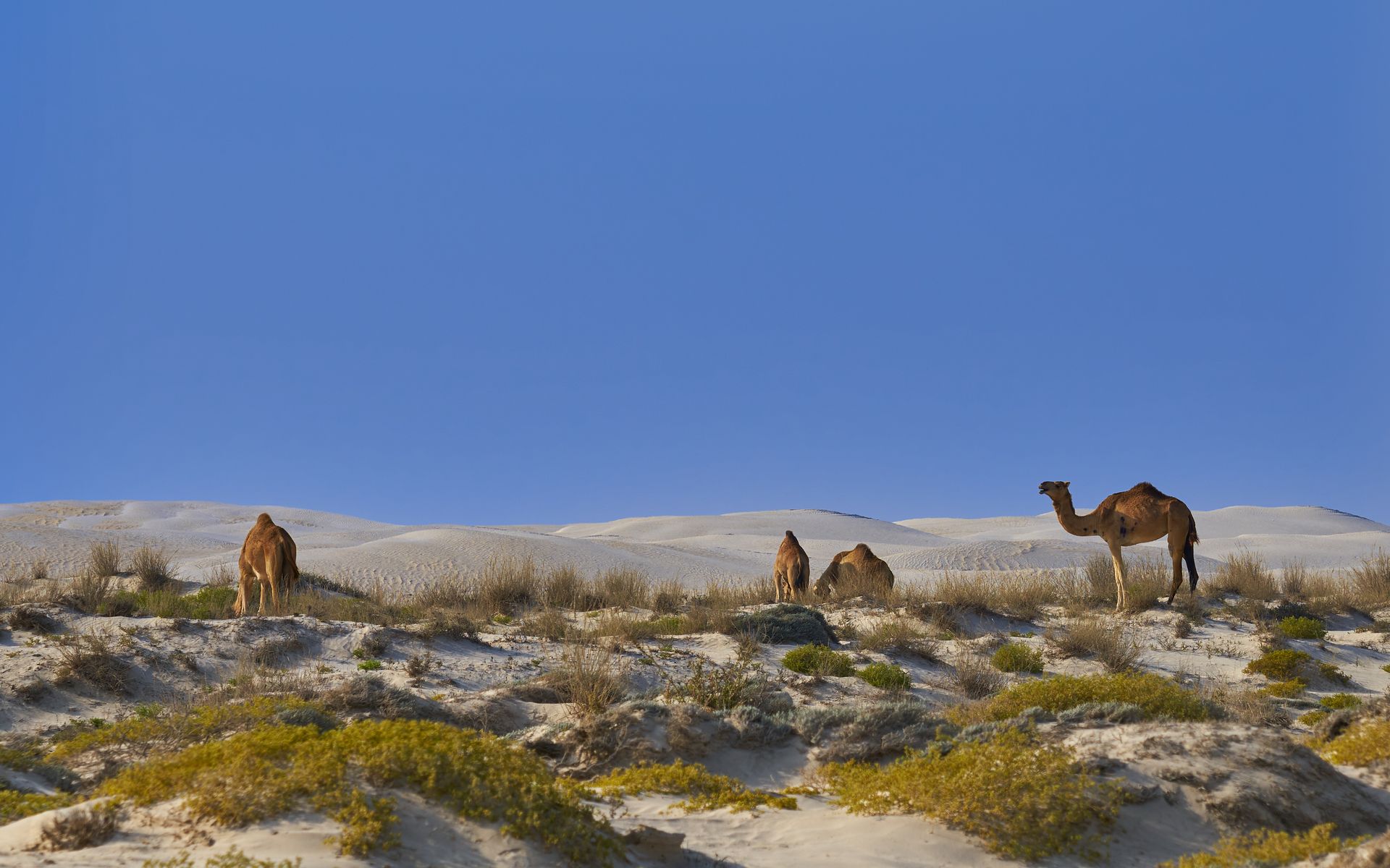 Unterwegs im Sultanat Oman