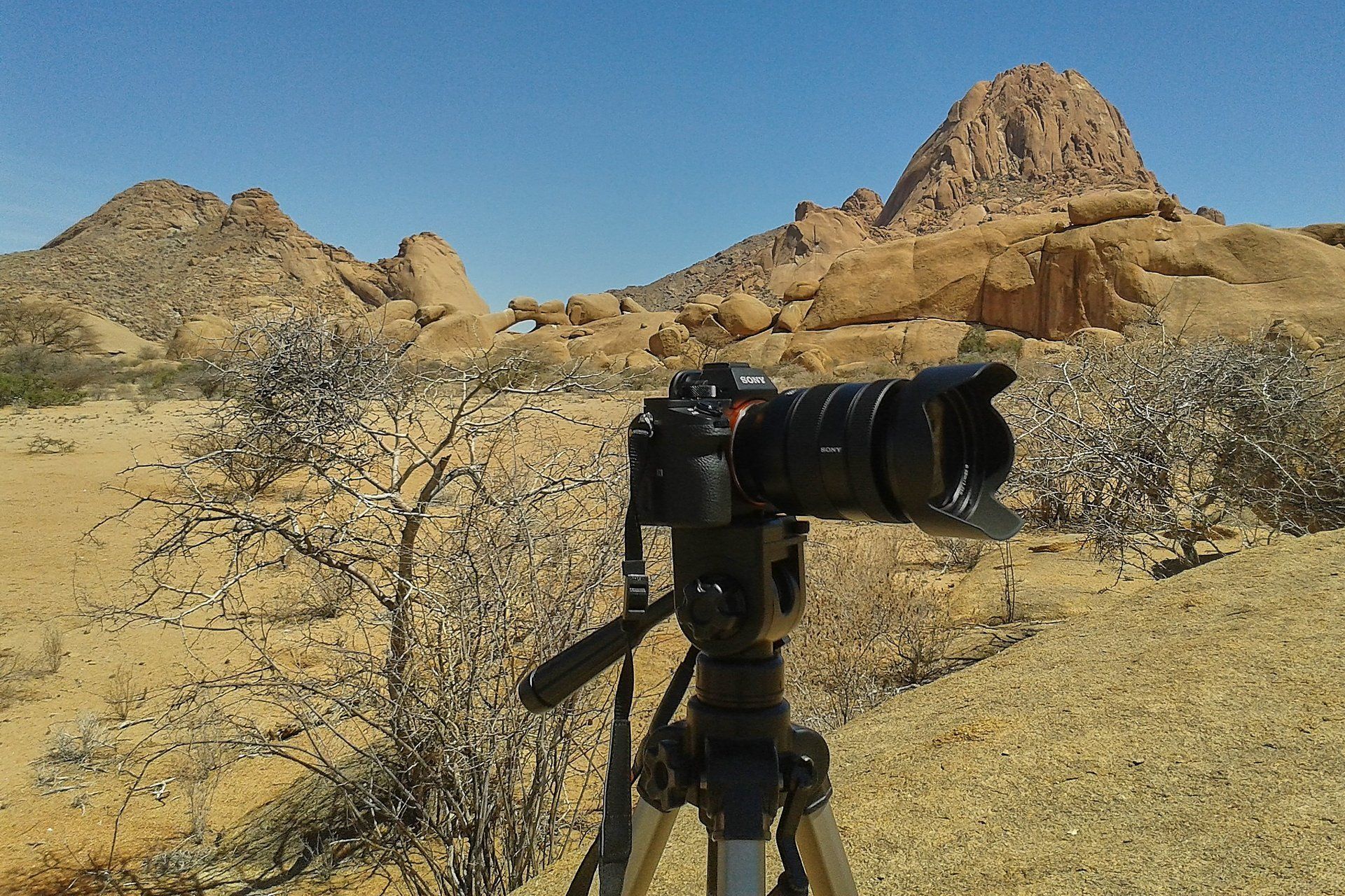 Sony A7RII Sony A7RII