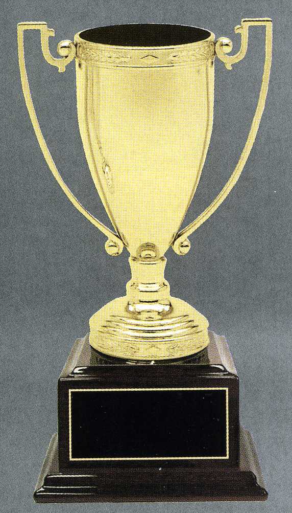 image of a trophy