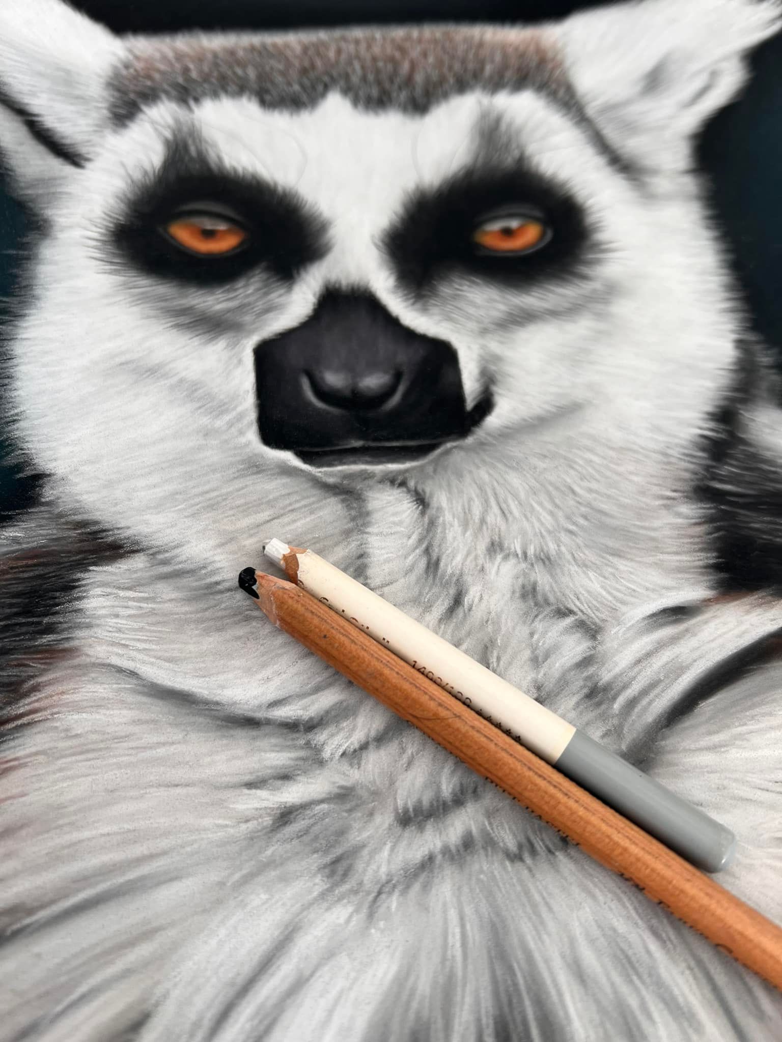 Apprendre à dessiner une lionne au pastel sec Apprendre à dessiner une lionne au pastel sec