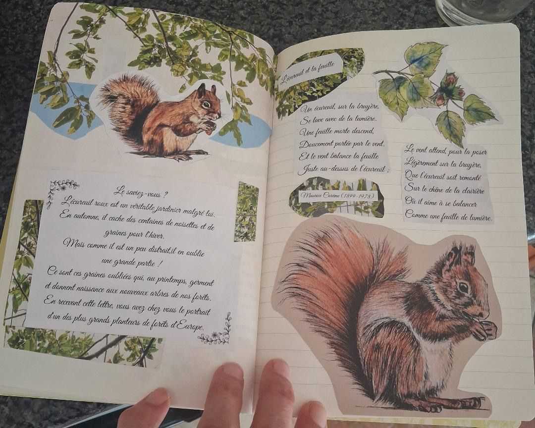 Lettre poétique du Cercle du Vivant accompagnée d'une illustration animalière et d'une carte oracle