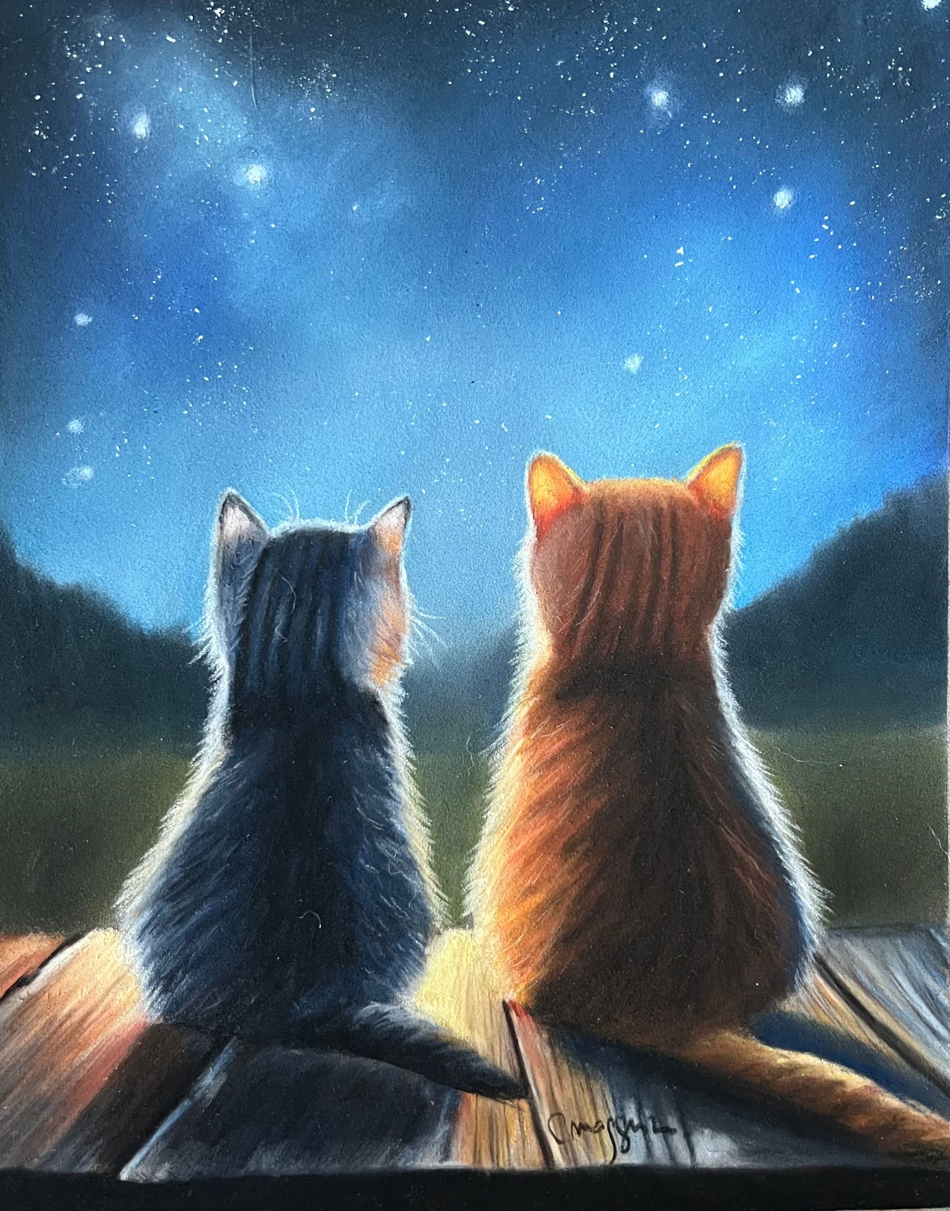 Réaliser deux petits chats qui regardent les étoiles au pastel sec Réaliser deux petits chats qui regardent les étoiles au pastel sec