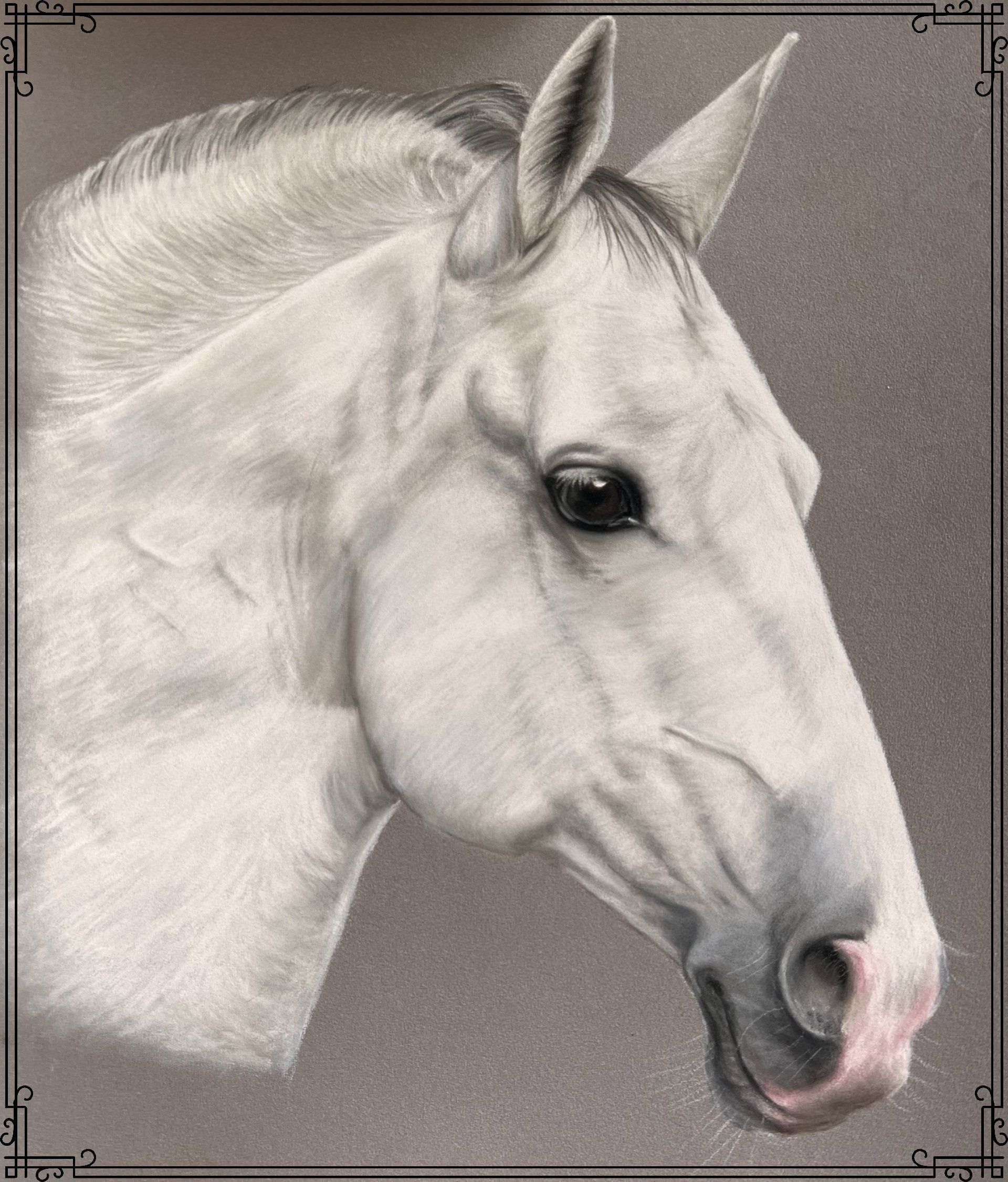Apprendre à dessiner un cheval gris au pastel sec Apprendre à dessiner un cheval gris au pastel sec