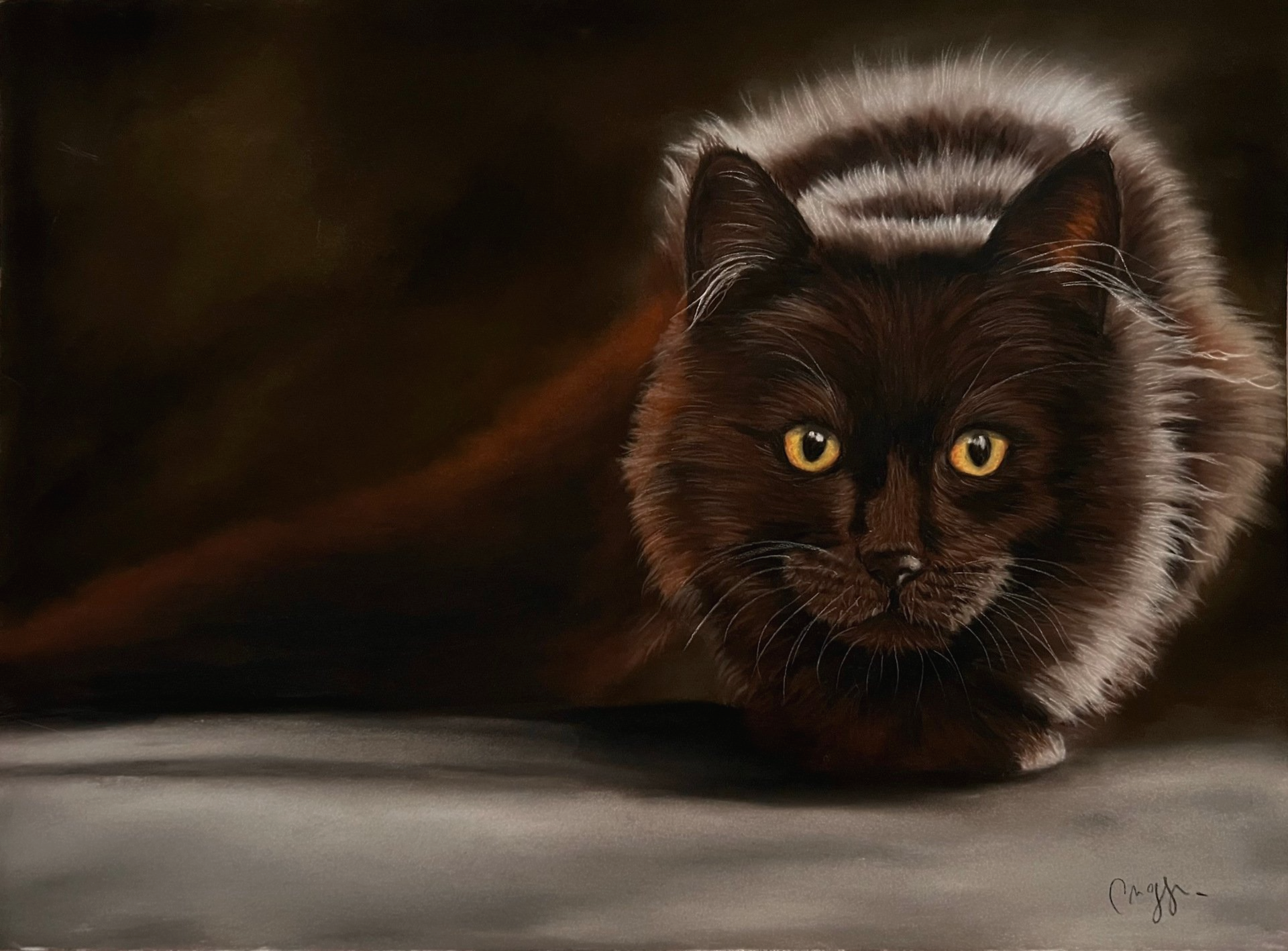 Apprendre à dessiner un chat à poils longs au pastel sec