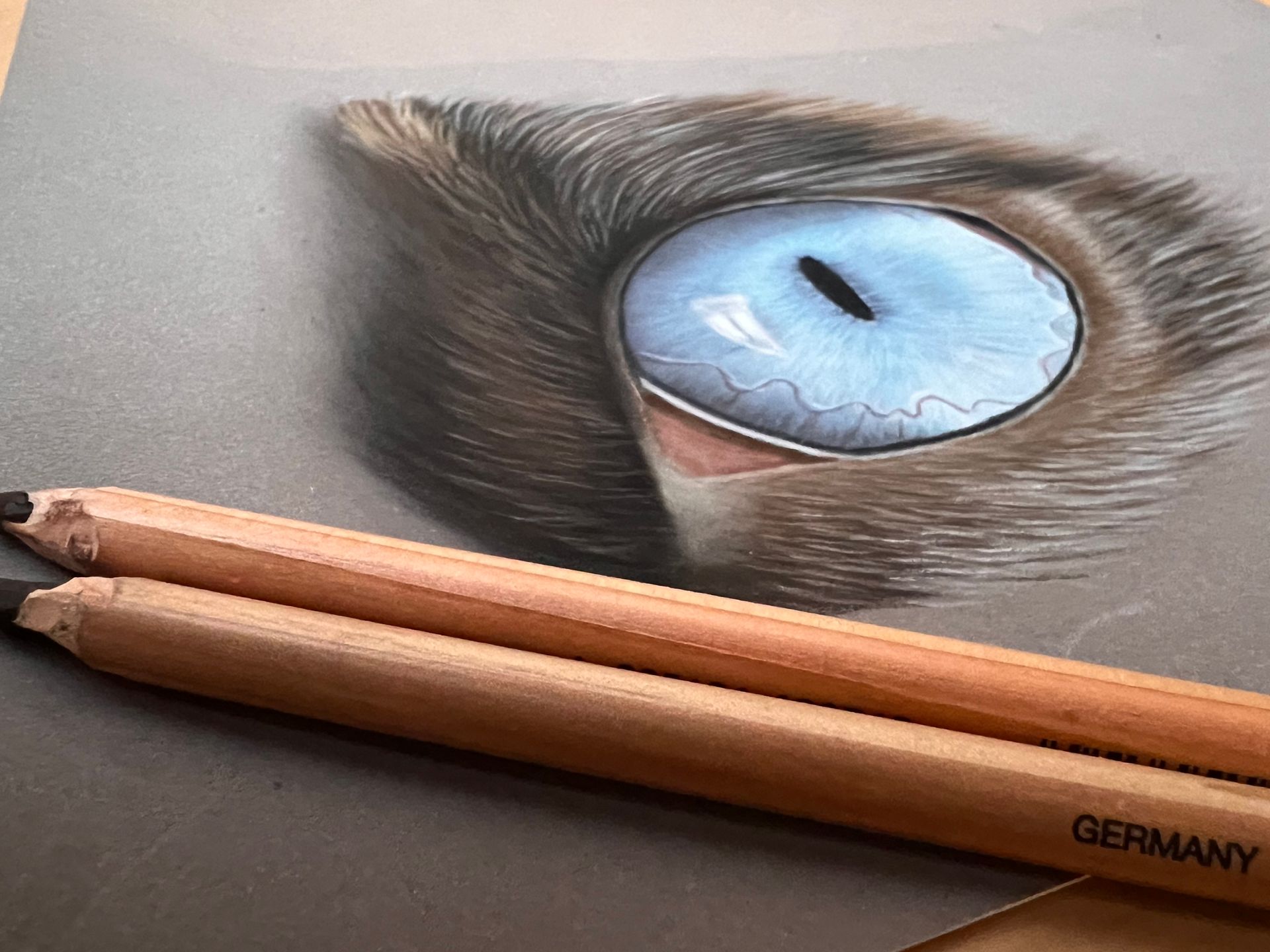 Apprendre à dessiner une lionne au pastel sec Apprendre à dessiner une lionne au pastel sec