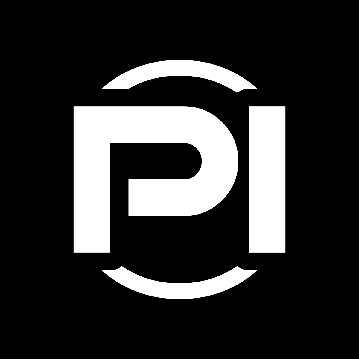 Logo Piccaro Investigazioni