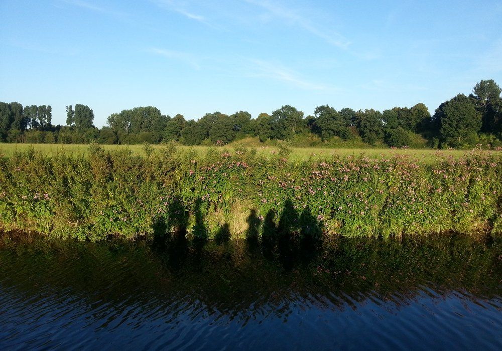 Visionstag BuntesWohnenHaltern Visionstag BuntesWohnenHaltern