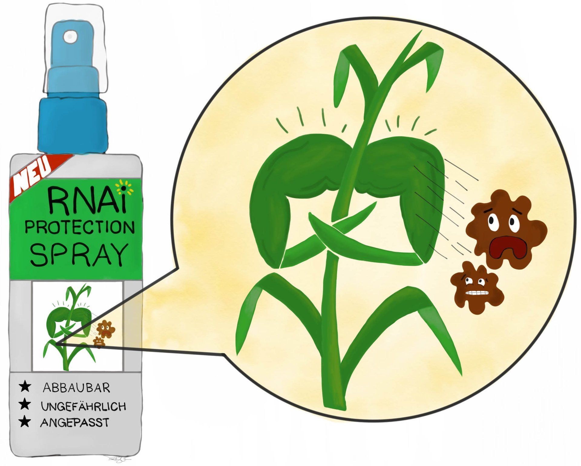 RNA-Spray als Alternative zu Pestiziden und gentechnisch veränderten Pflanzen