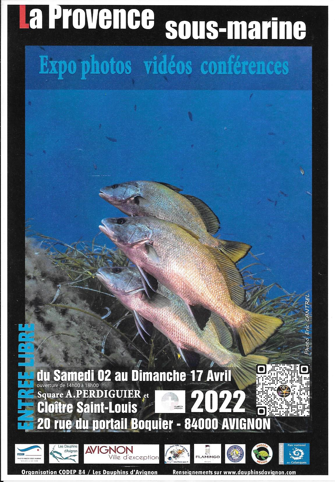 Avignon 2022