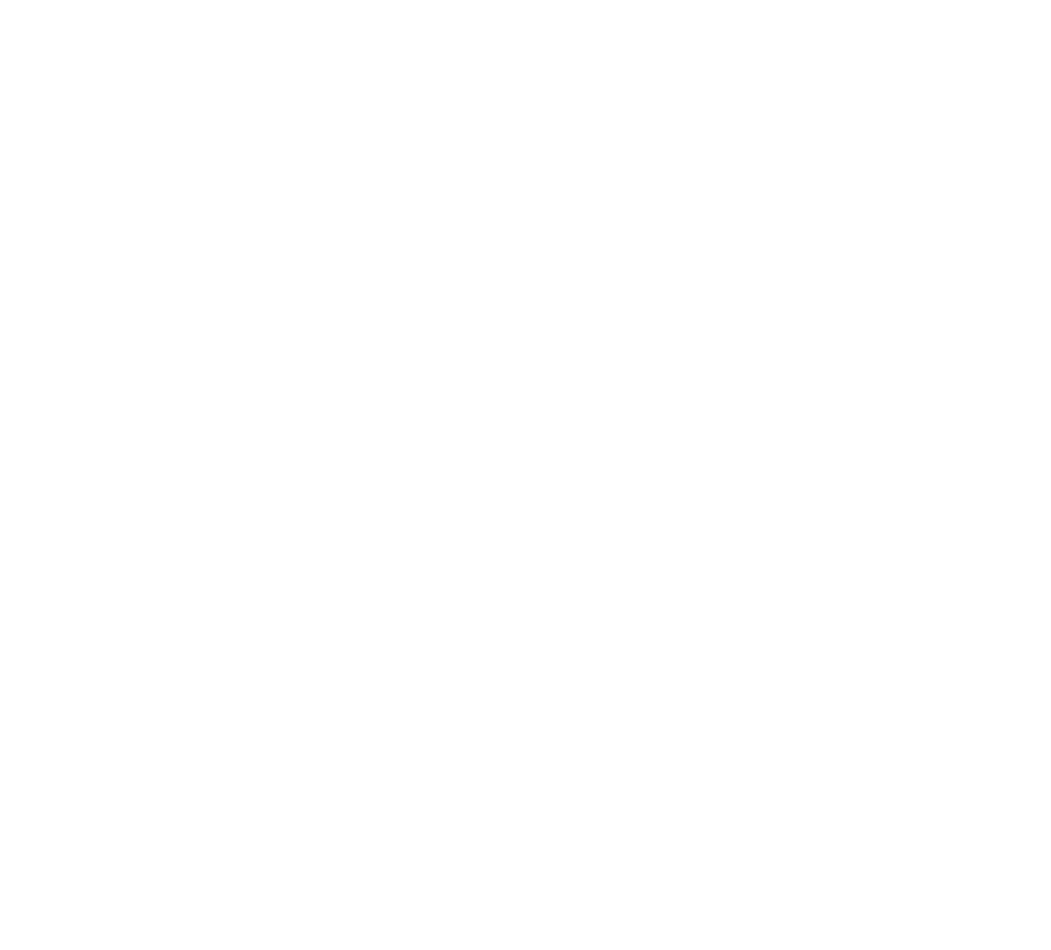 Logo Berlinches
