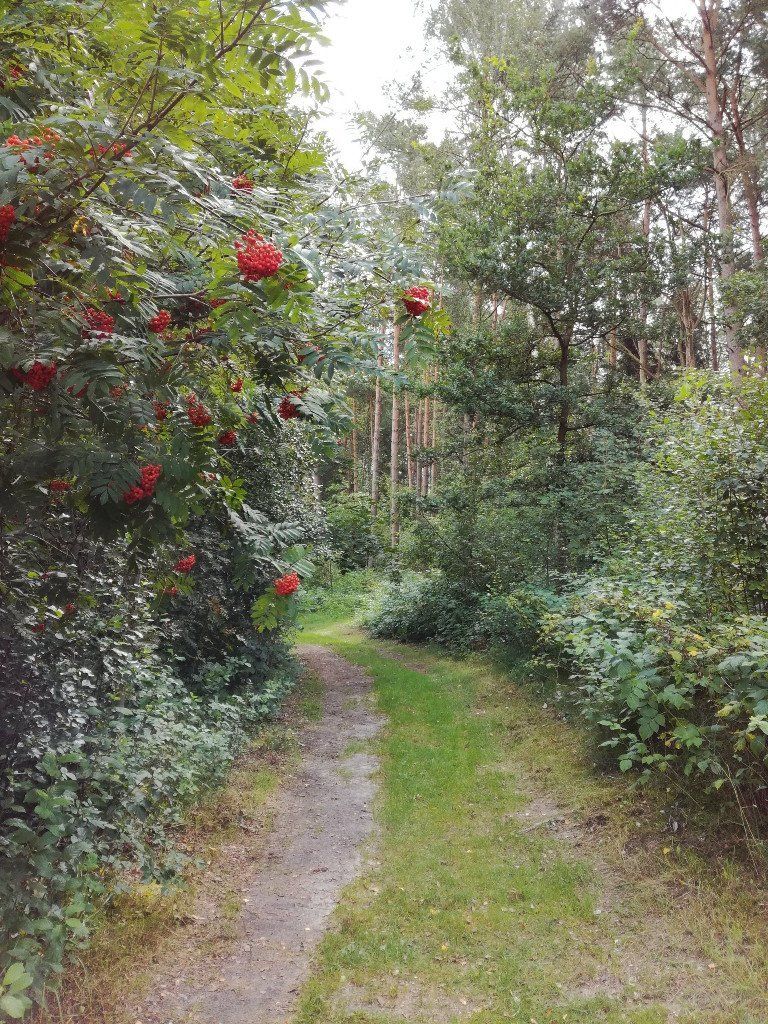 wandern-und-fasten