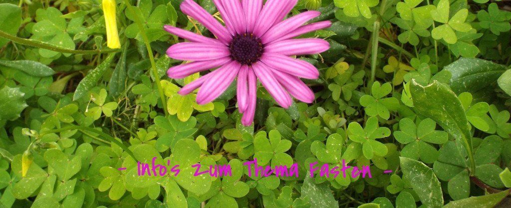 fasten-informationen