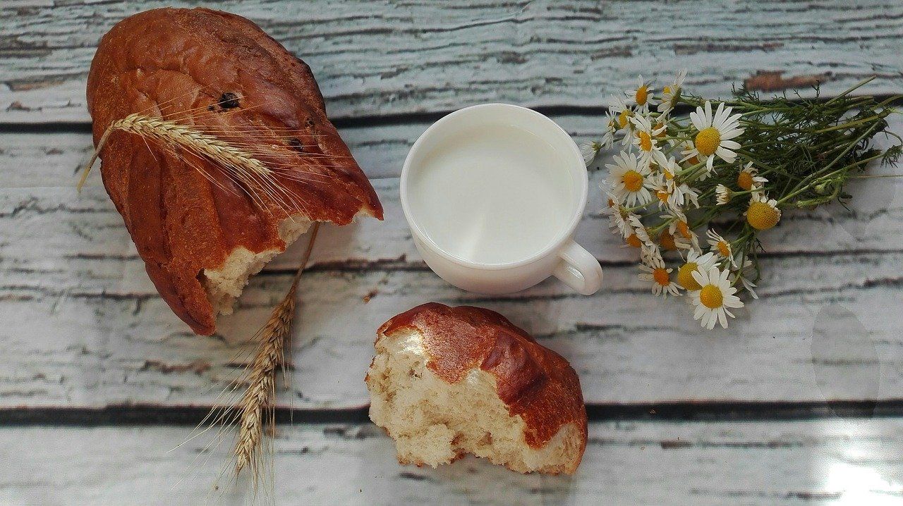 milch-semmel-kur