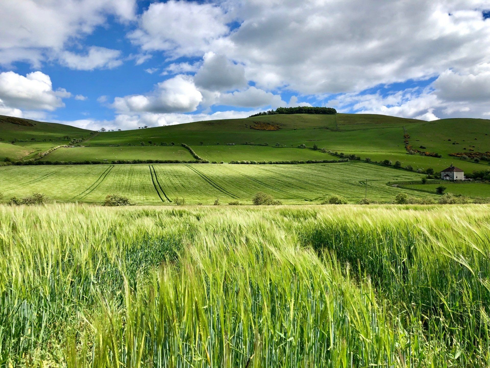 View from Clayton Cottage Northumberland