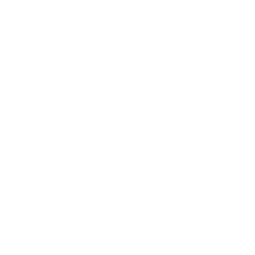 SERVICES 19