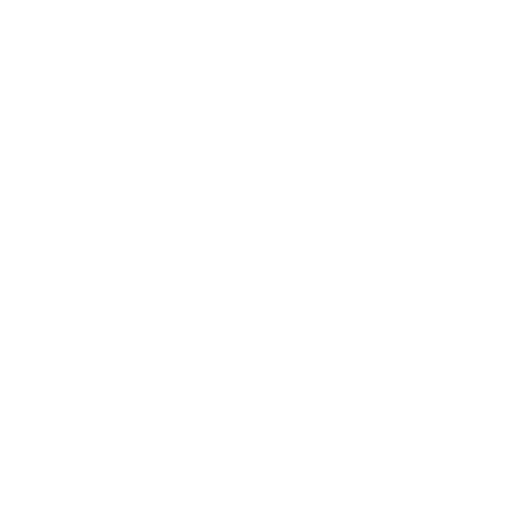 SERVICES 19