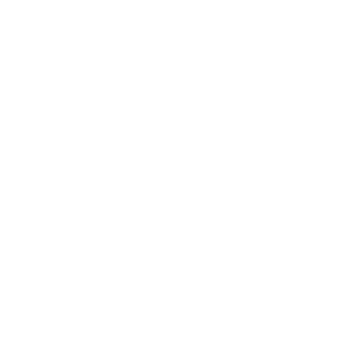 SERVICES 19